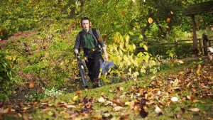 Amazon Leaf Blower Sale Amazon Leaf Blower Sale