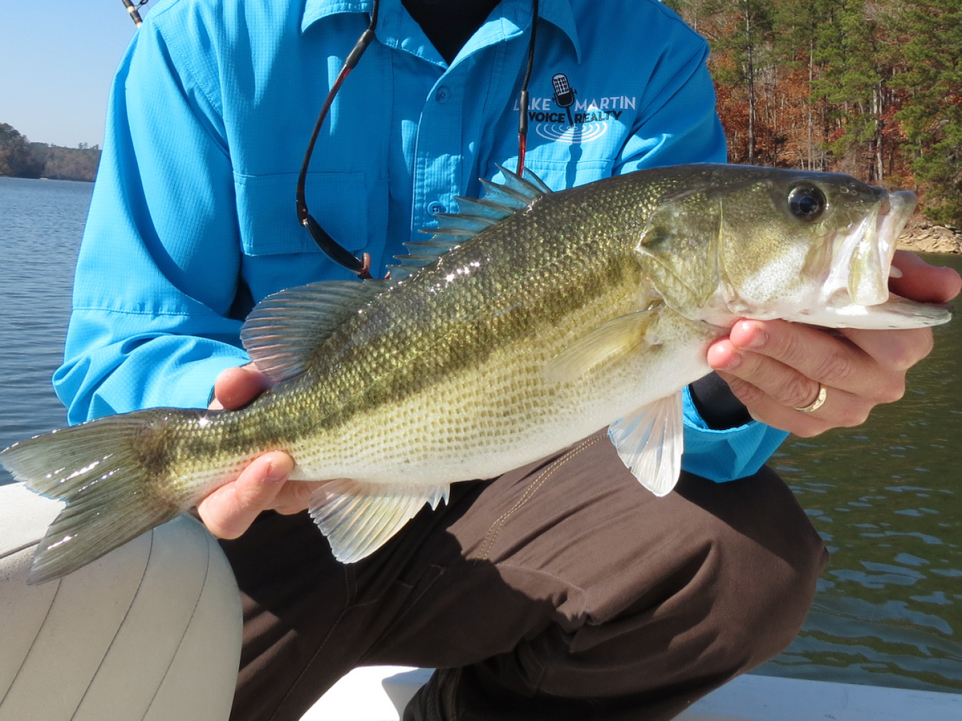 Is Catch and Release Bad for Fish? - Research suggests popularity of catch  and release may be harming bass populations - Men's Journal