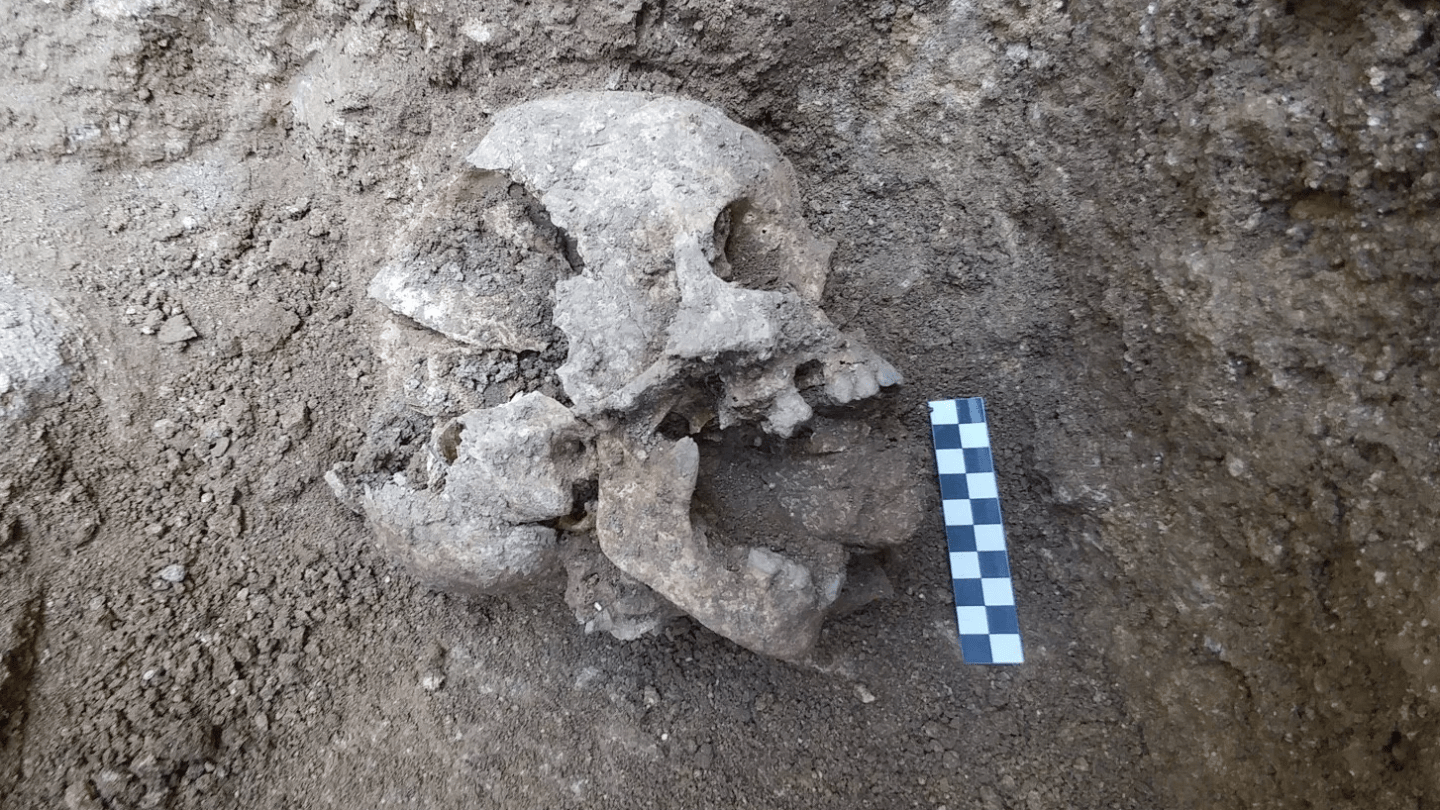 vampire burial