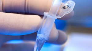 gene edited babies gene edited babies