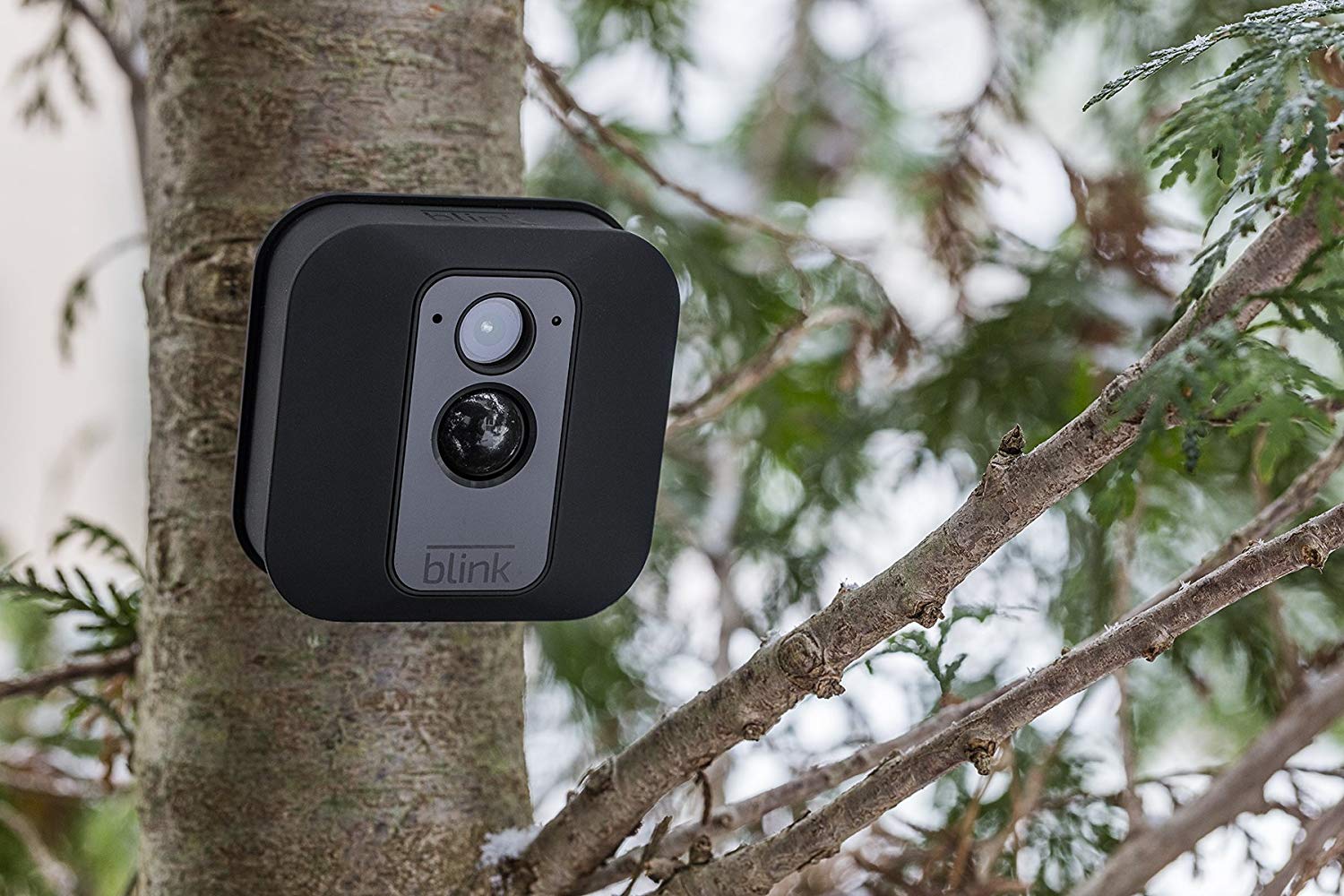 Blink S Wireless Security Cams With 2 Year Battery Life Have Never Been Cheaper Bgr