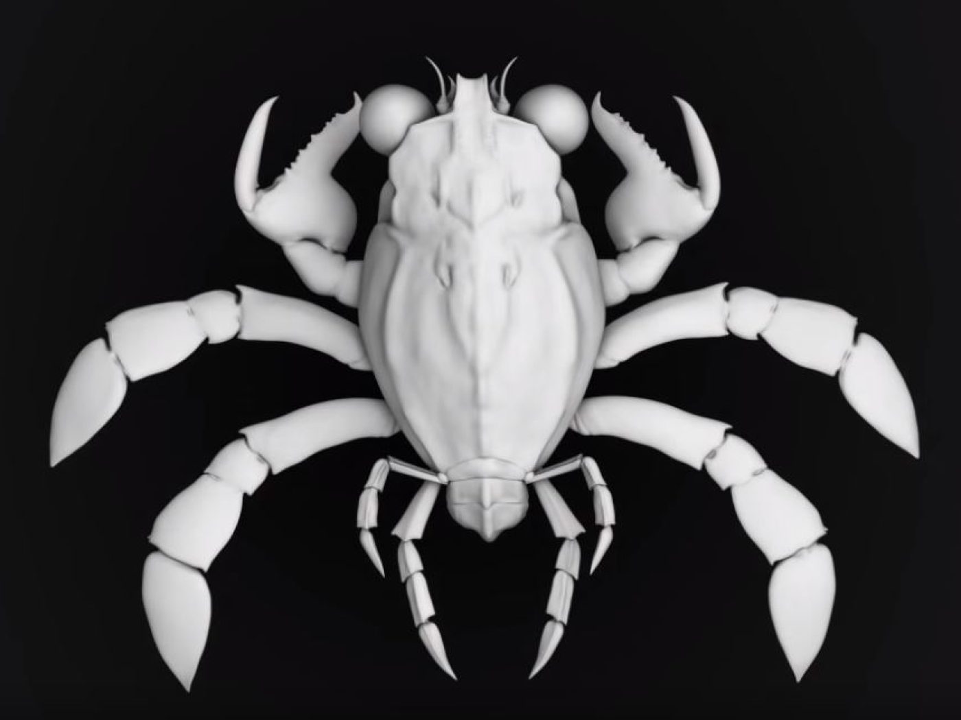 Newly-discovered ancient crab species is like nothing science has seen  before