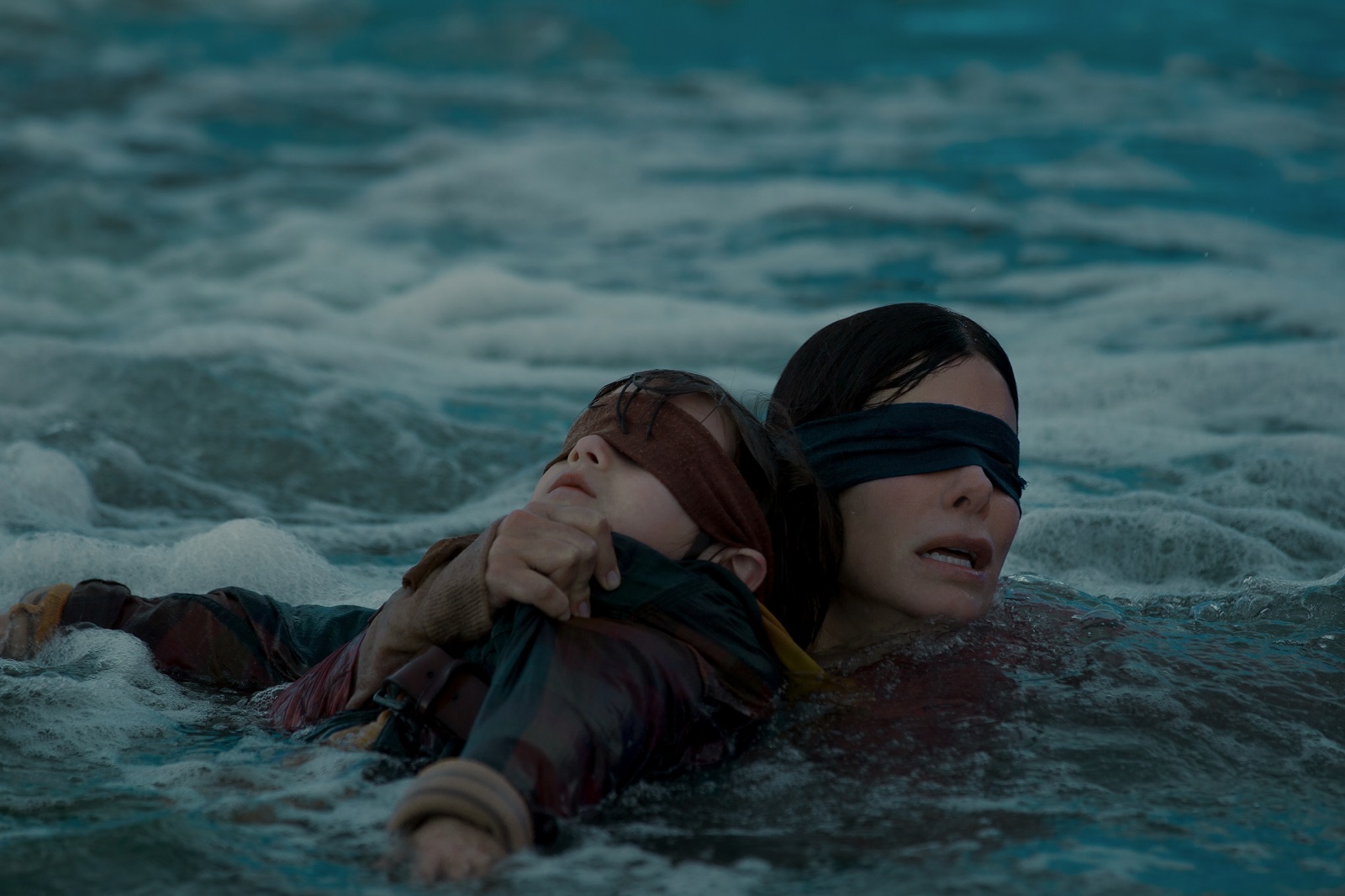 Bird Box is one of Netflix's top 10 movies ever