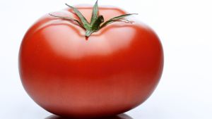 tomato flavor