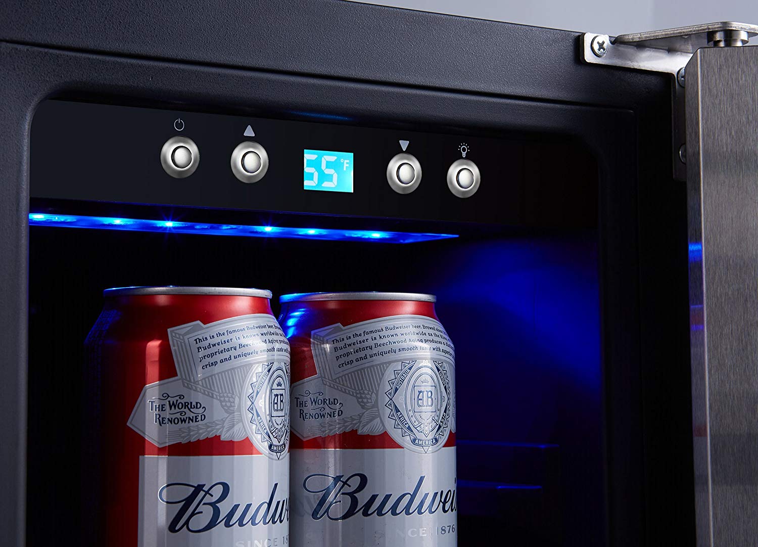 Best Beer Fridge