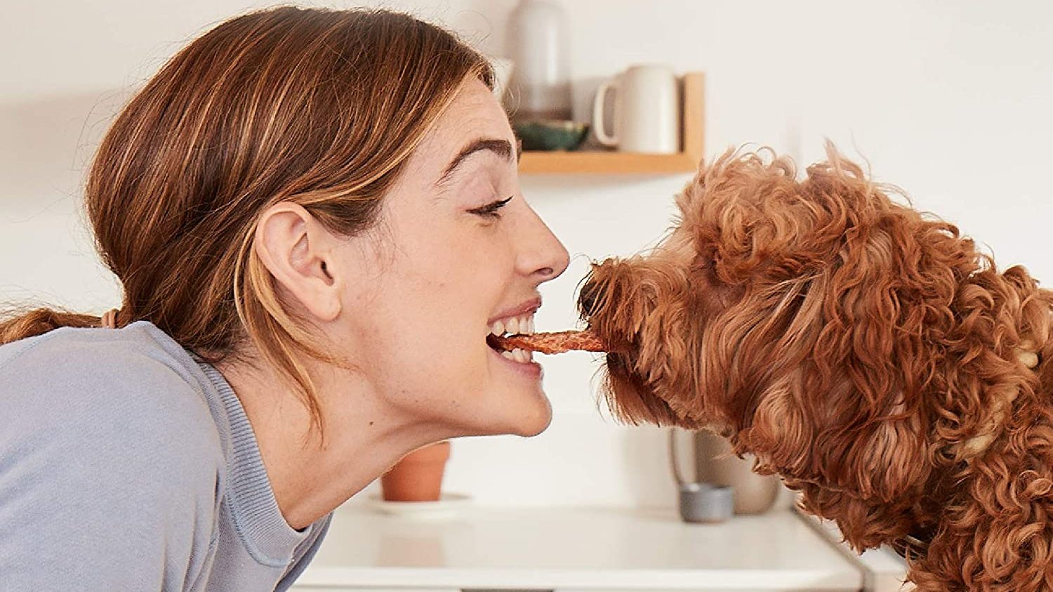 signs your dog loves you include giving you gifts