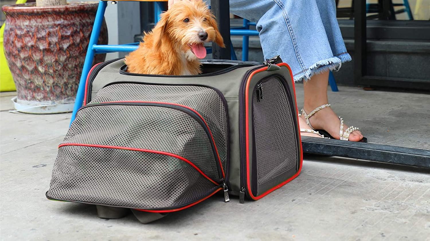 Best Expandable Pet Carrier