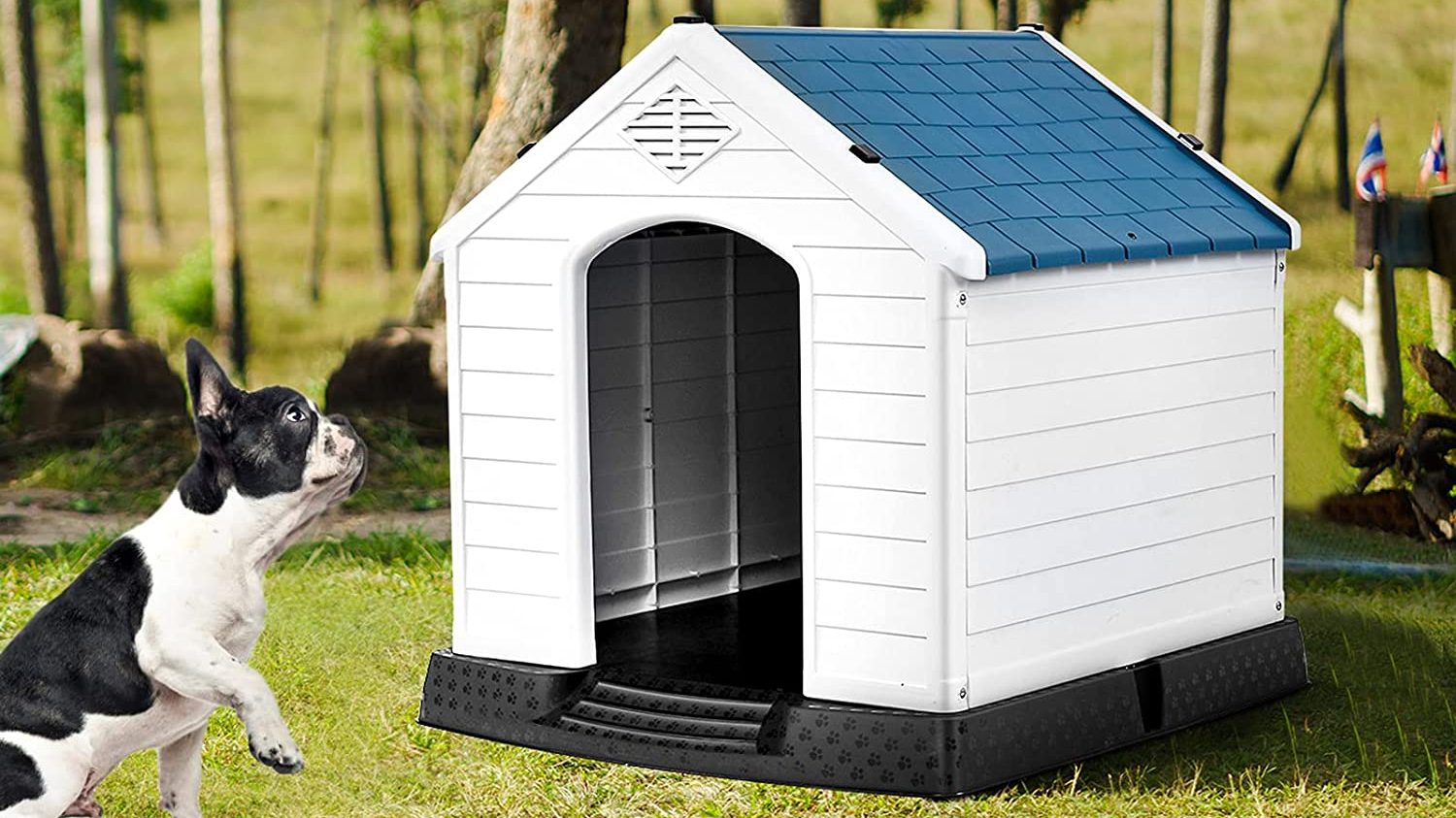 Best Pet House for Dogs