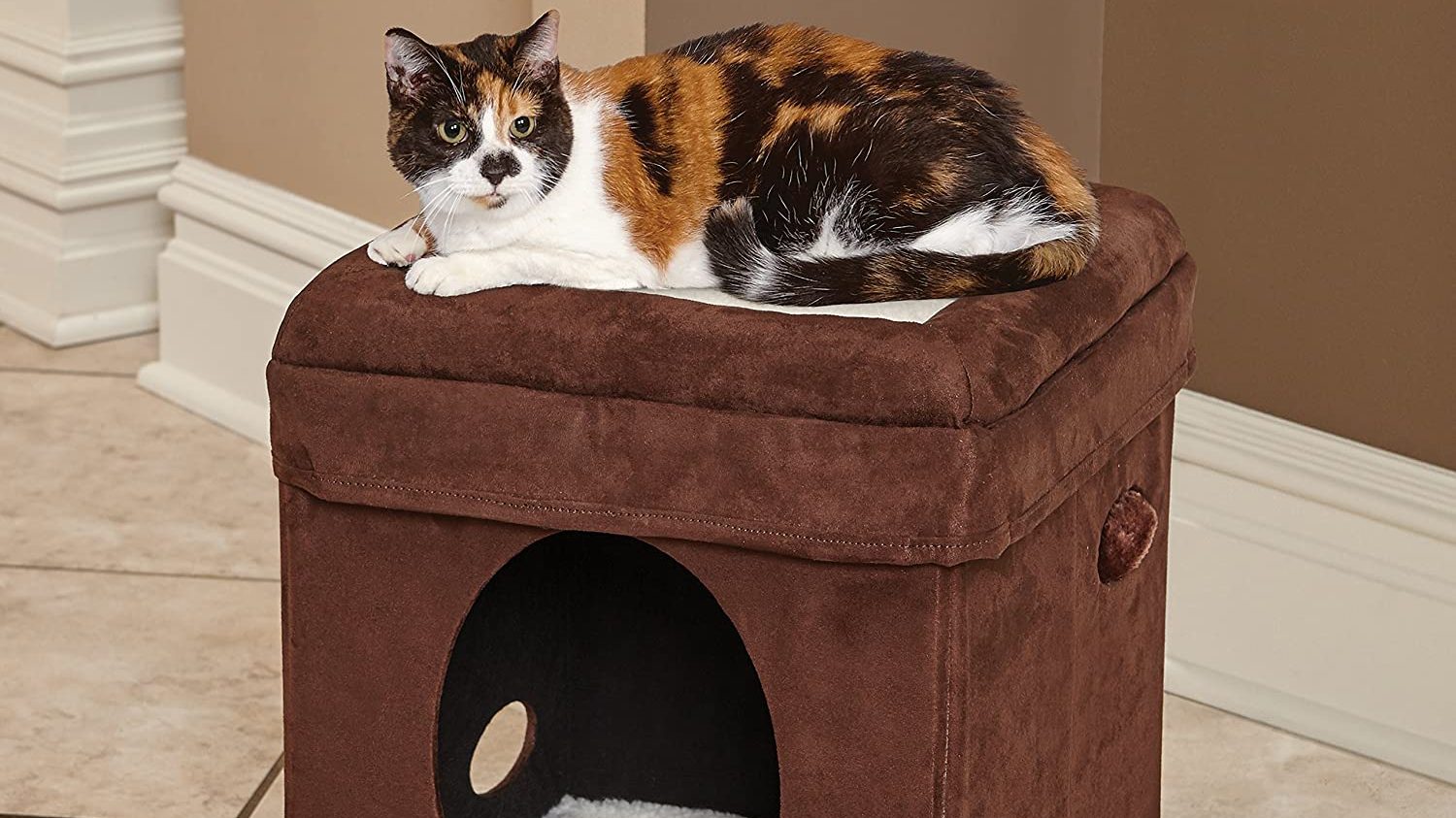 Best Indoor House for Cats