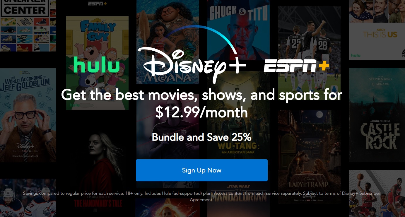 Hulu And Disney+ Price Hikes Will Continue Until Morale Improves