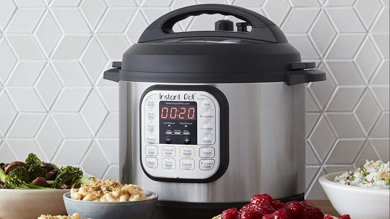 instant pot recipes for 1 person