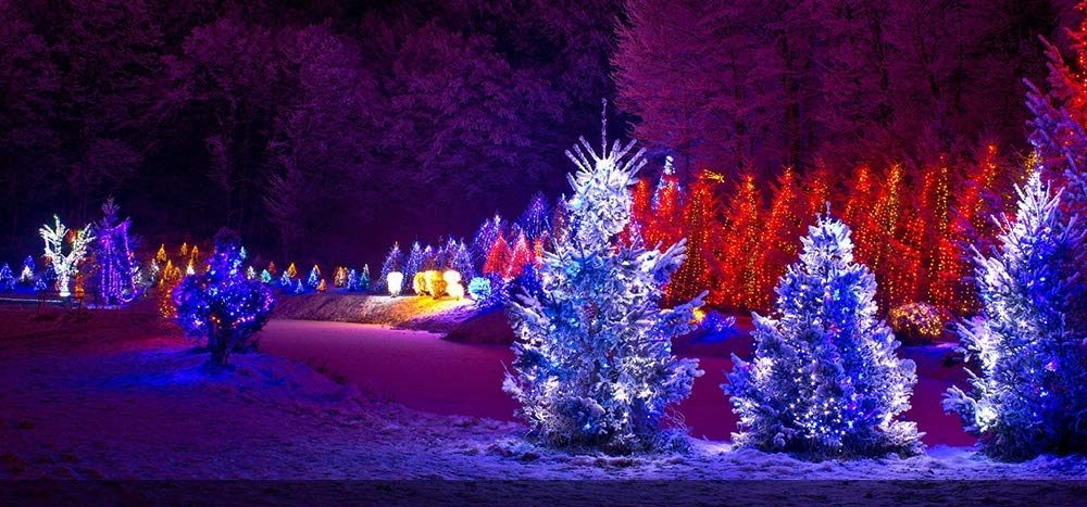 5 Best Outdoor Spotlights To Shine On Your Home 5 Best Outdoor Spotlights To Shine On, Colored Spotlights For Trees