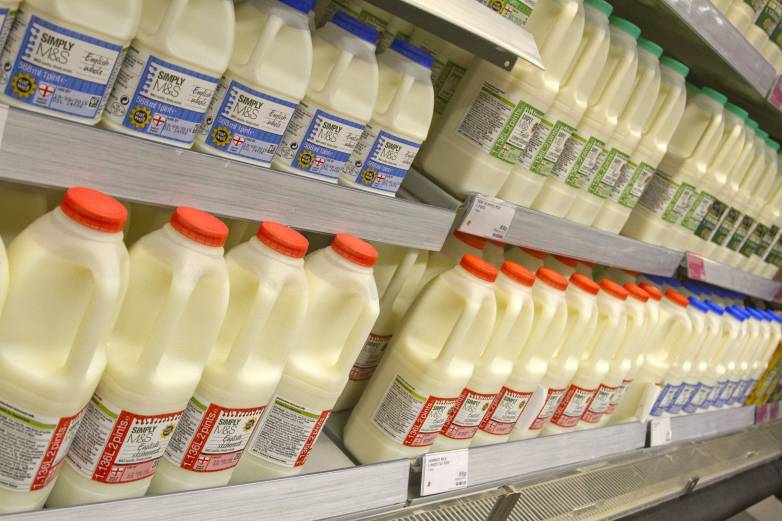 Study hints at the surprising benefits of drinking whole milk bgr