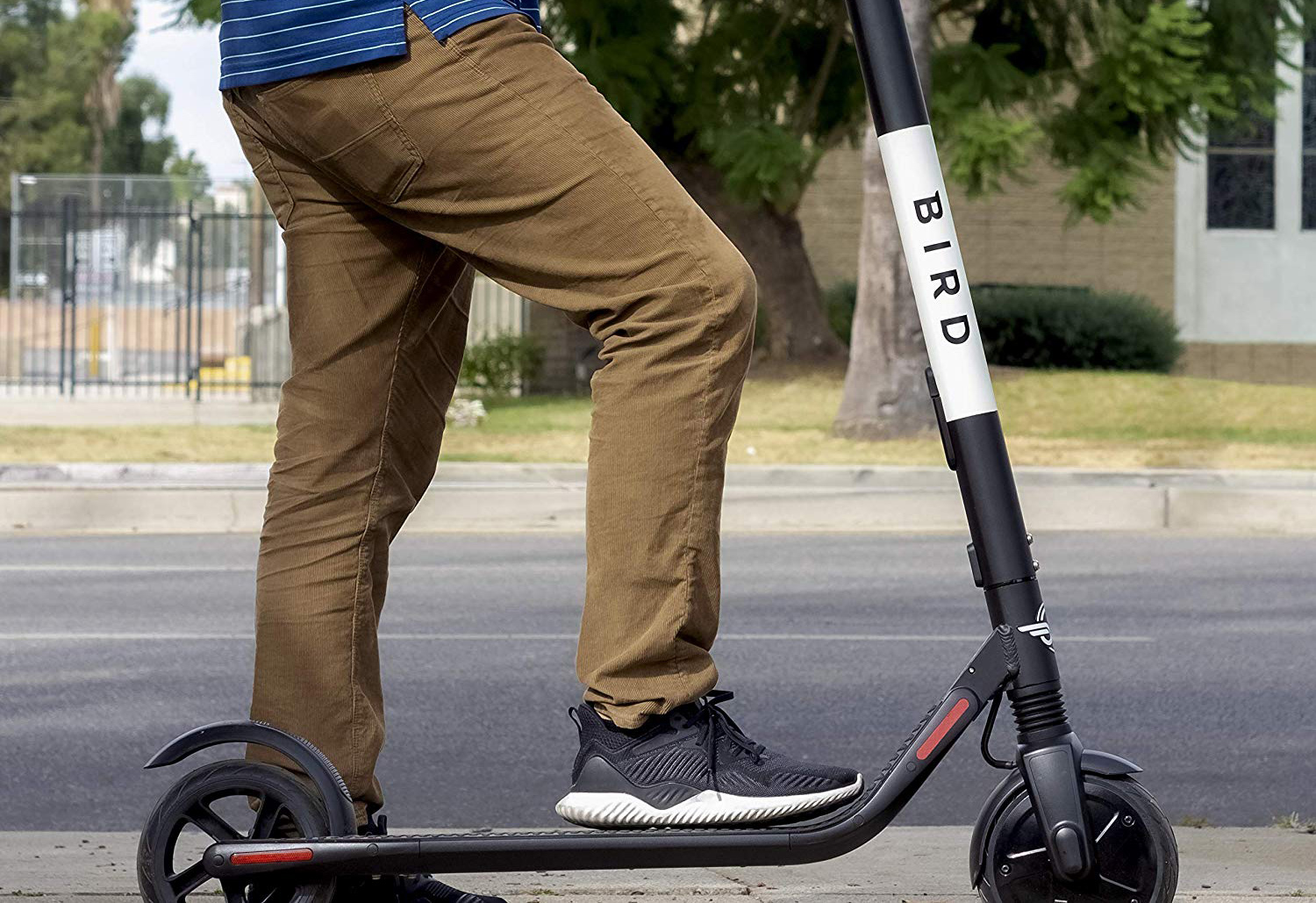 Bird electric scooter hits a new alltime low price in Amazon’s oneday