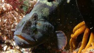 science news science news
