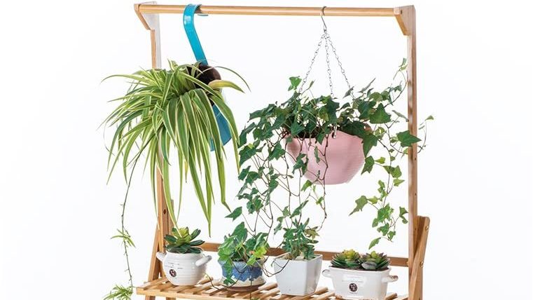 Best for Hanging Plants