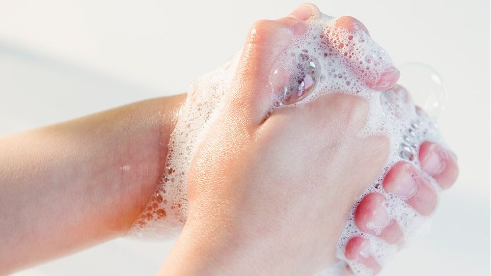 Best Liquid Hand Soap for Killing Germs