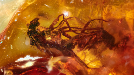 science news