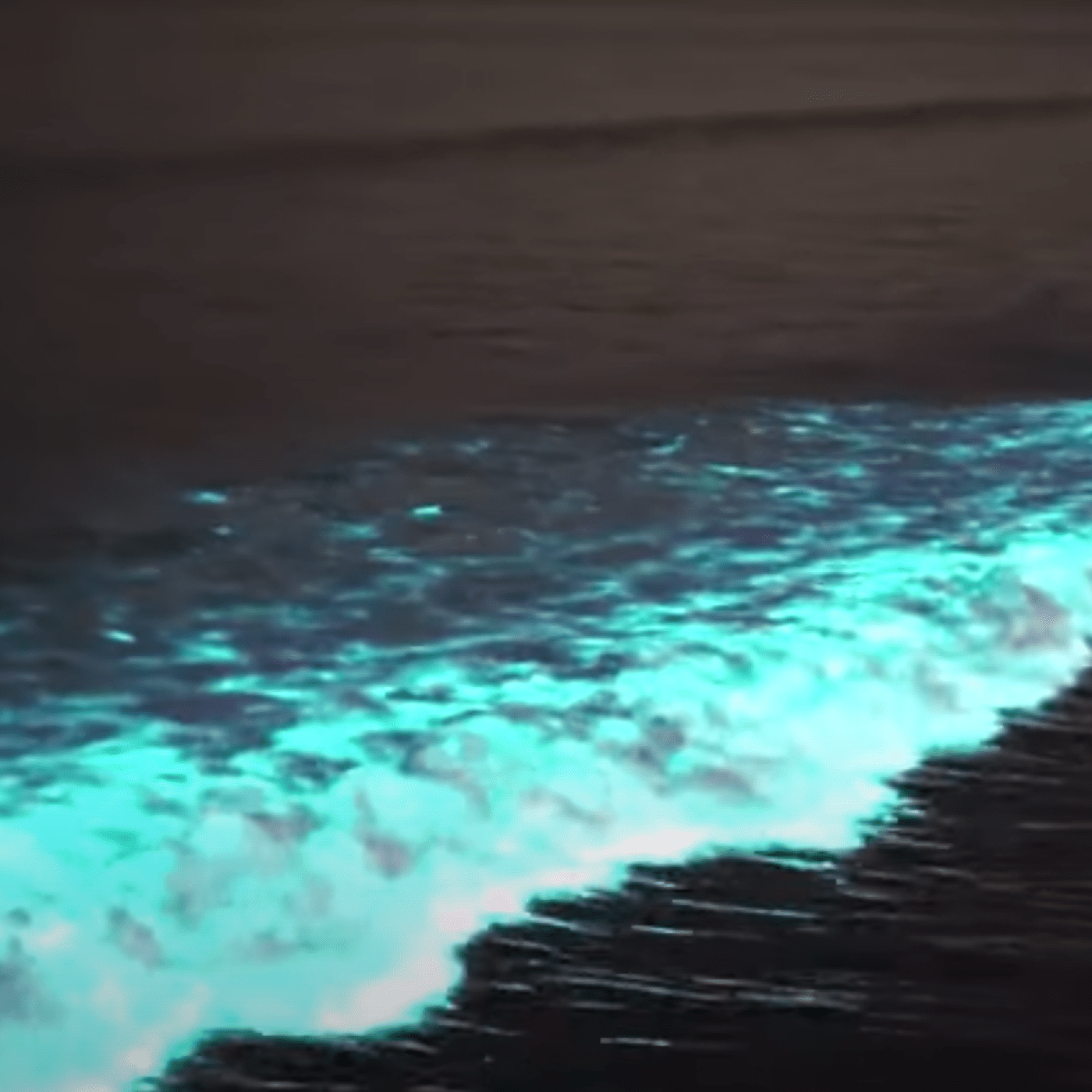Glowing waves crash onto California beaches thanks to the red tide