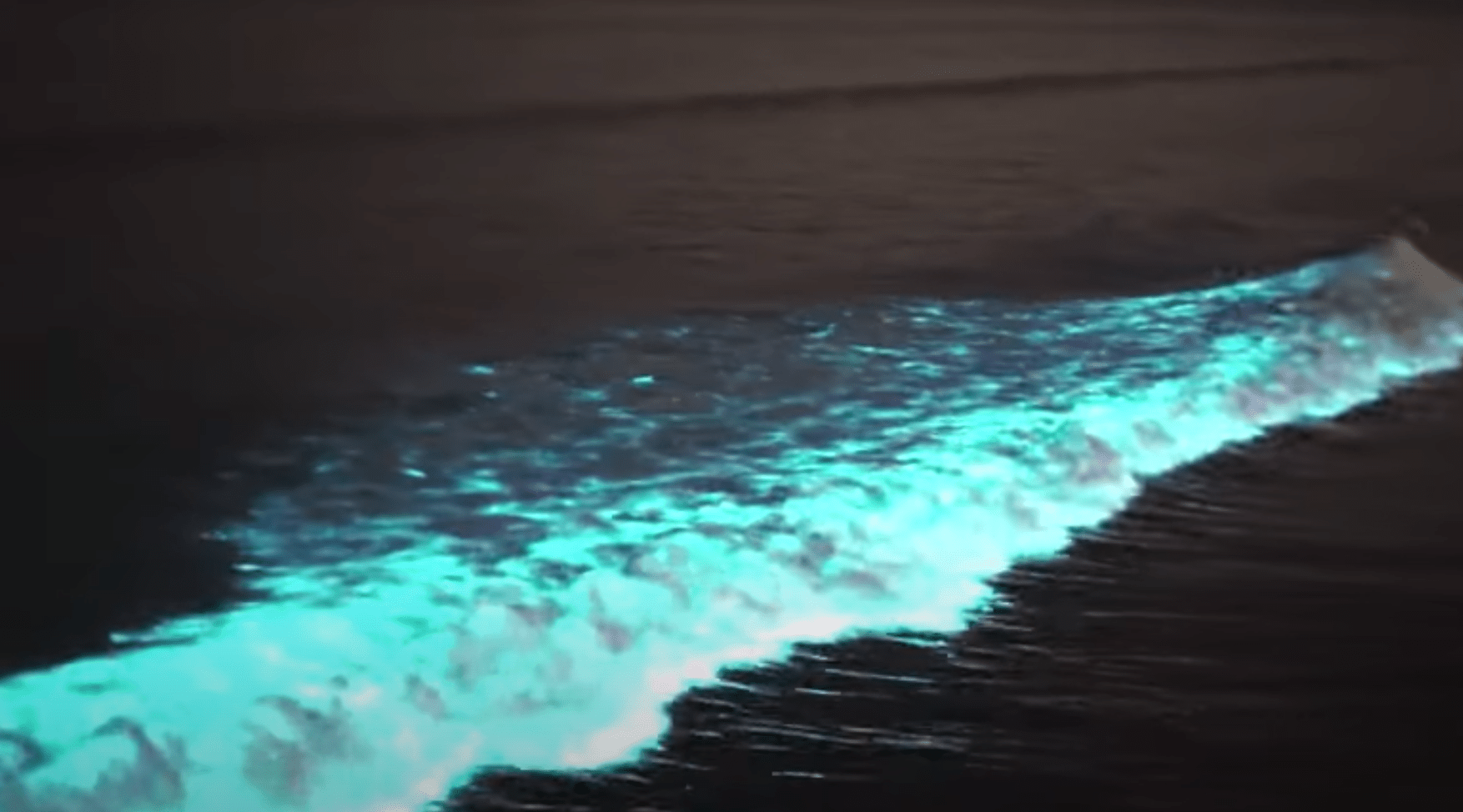 Glowing waves crash onto California beaches thanks to the red tide BGR