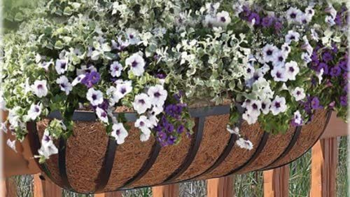 Best Horse Trough Planter