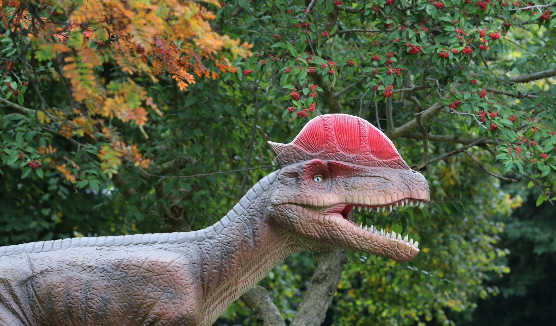 pic Dinosaur Photos Real Life a jurassic park icon was so much