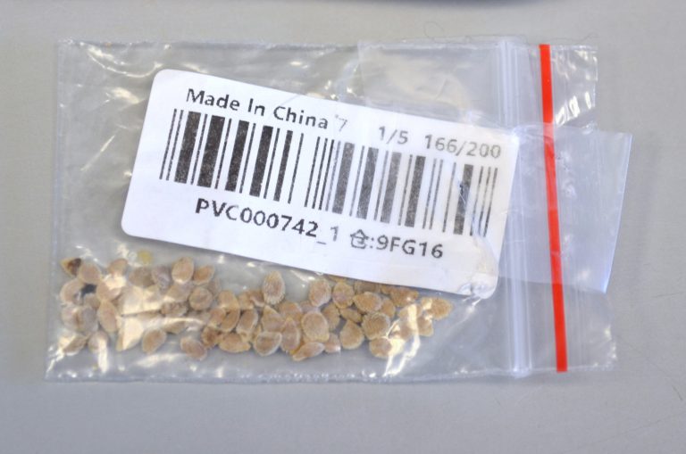 Seeds from China