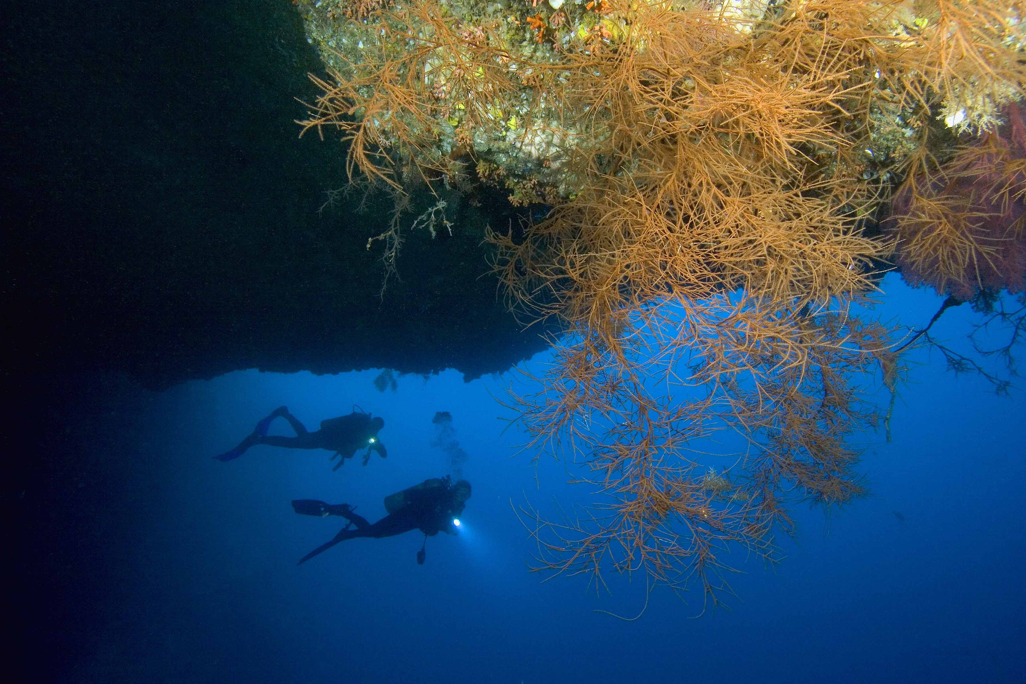 scientists-are-about-to-explore-a-mysterious-blue-hole-in-the-ocean