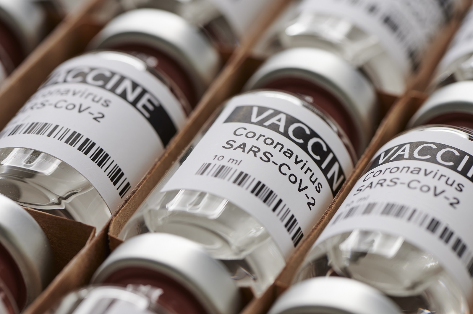 orders to hasten release vaccine