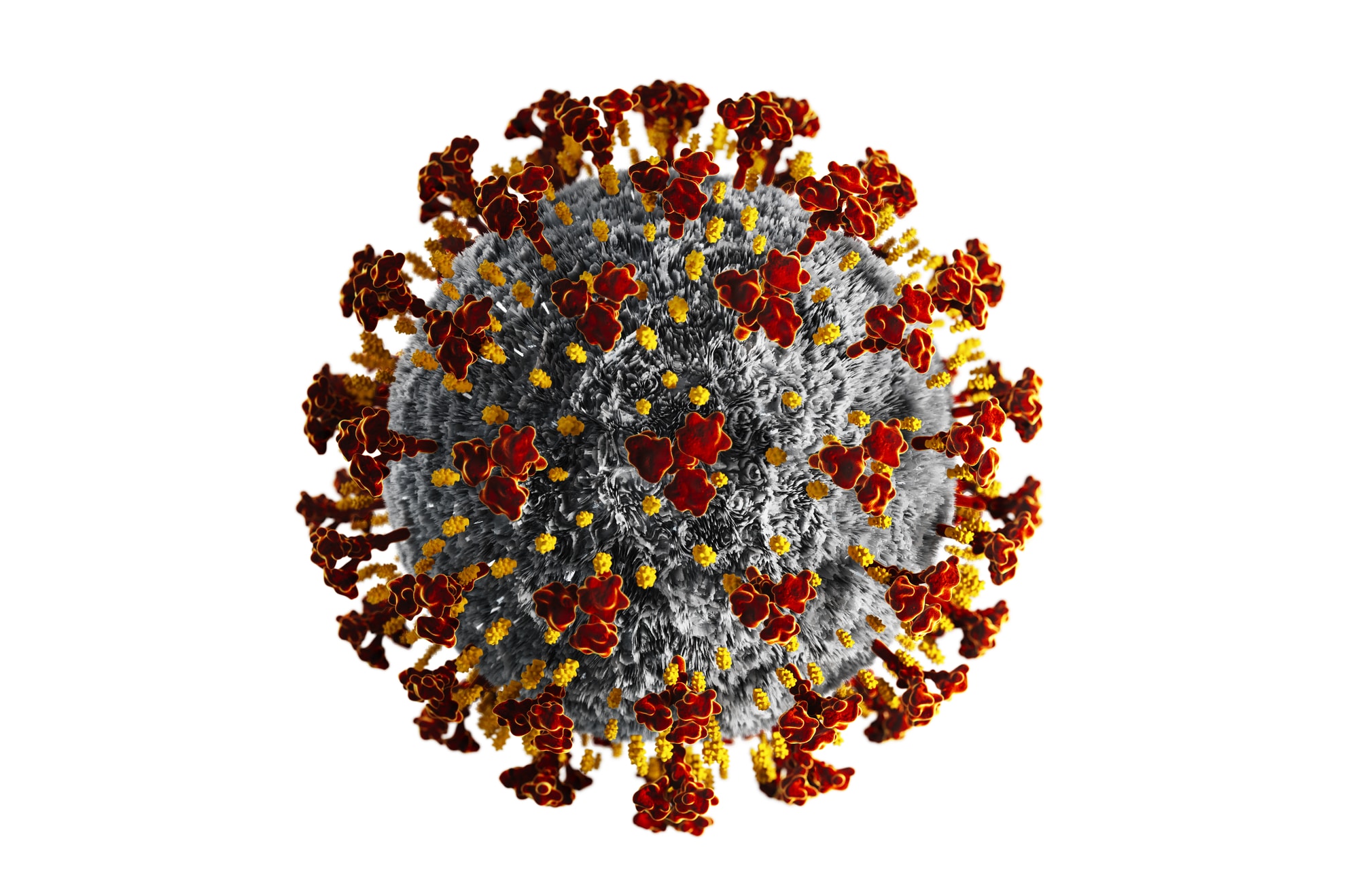 Coronavirus(Covid 19) стенды