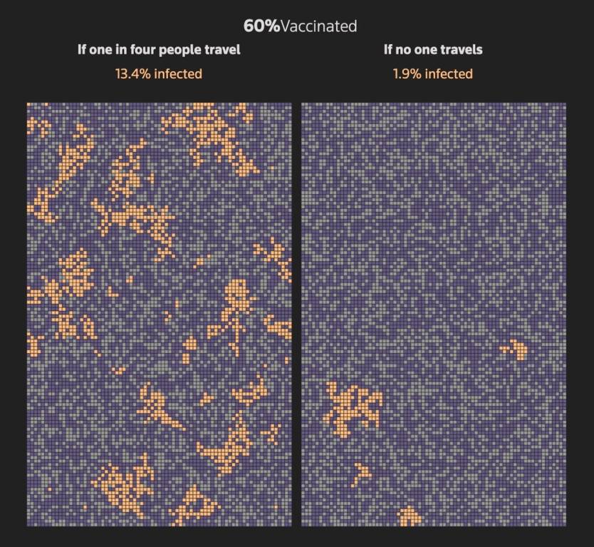 Coronavirus Herd Immunity