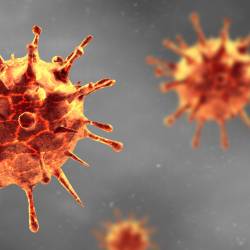 Coronavirus cases Coronavirus cases