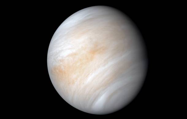 venus news