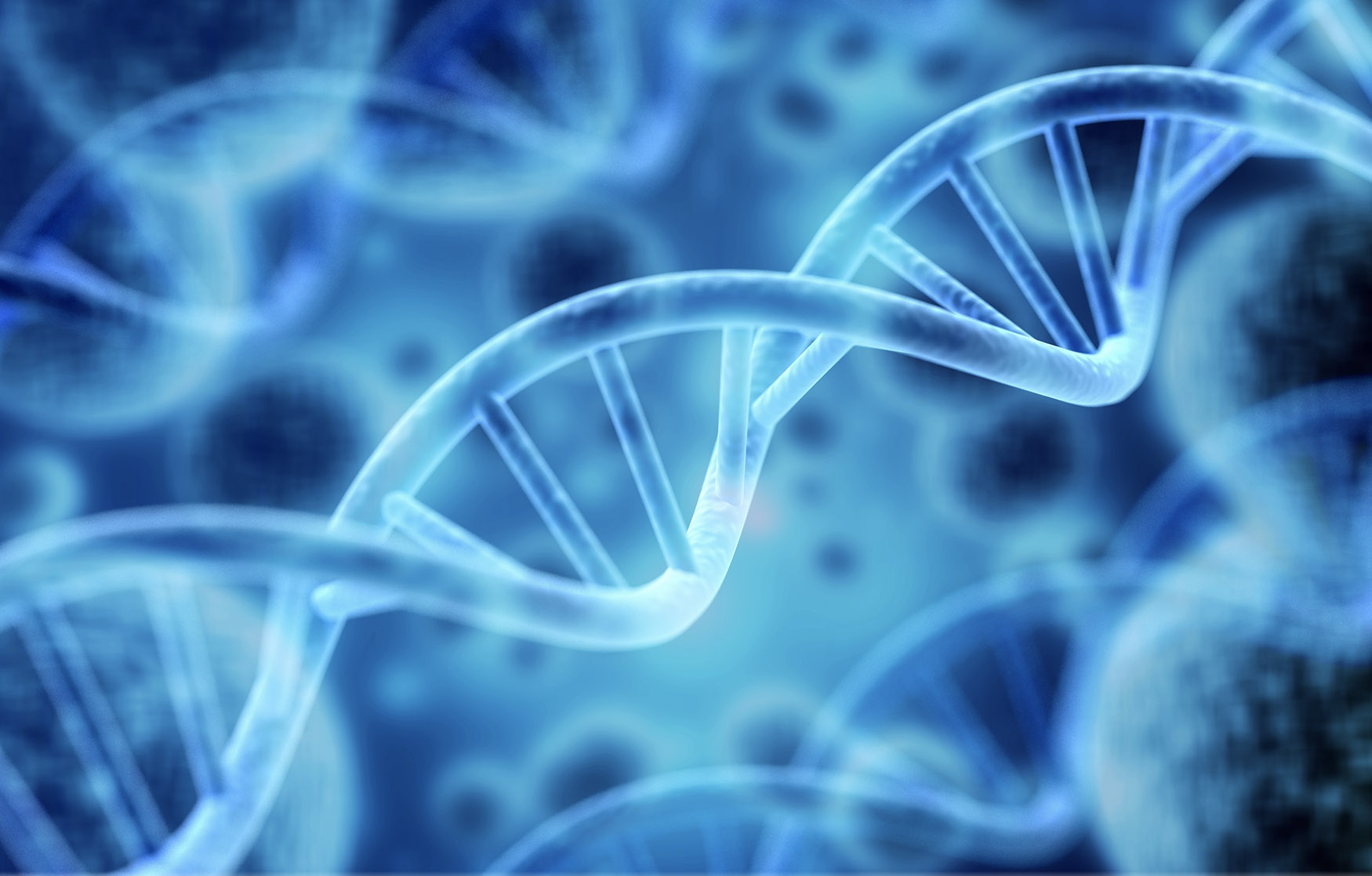 A simulated strand of DNA