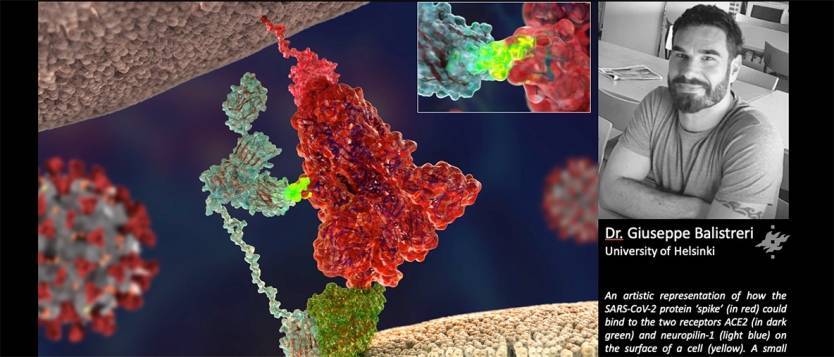 Coronavirus Infection