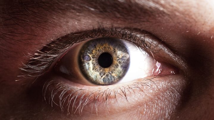 Scientists brought dead eyes back to life in a radical new experiment