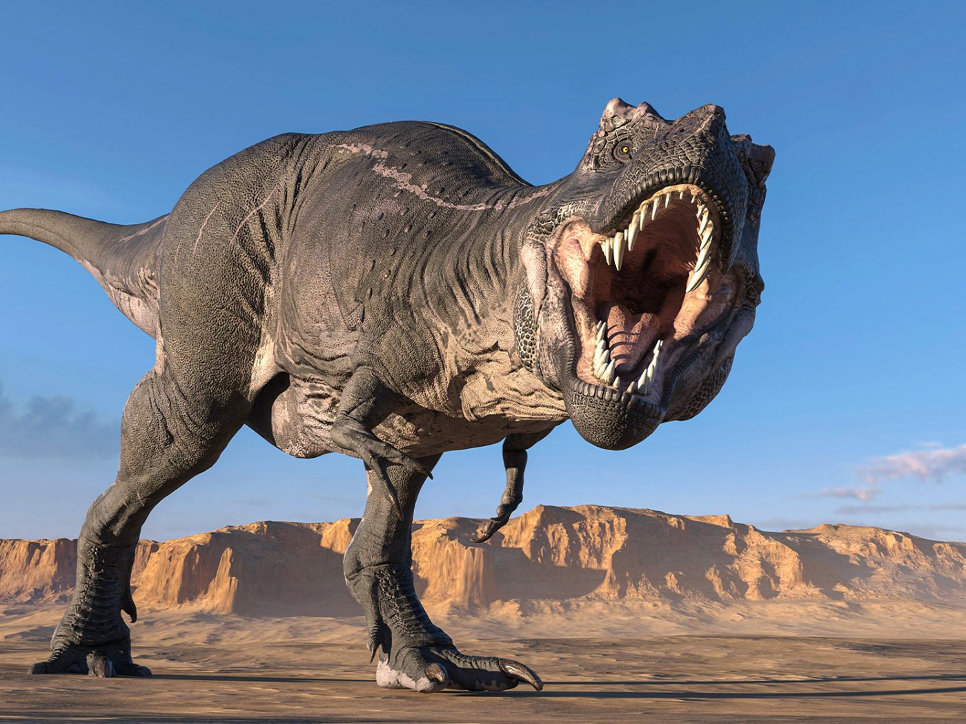 Fewer T. rex walked the Earth than previous estimated, new study