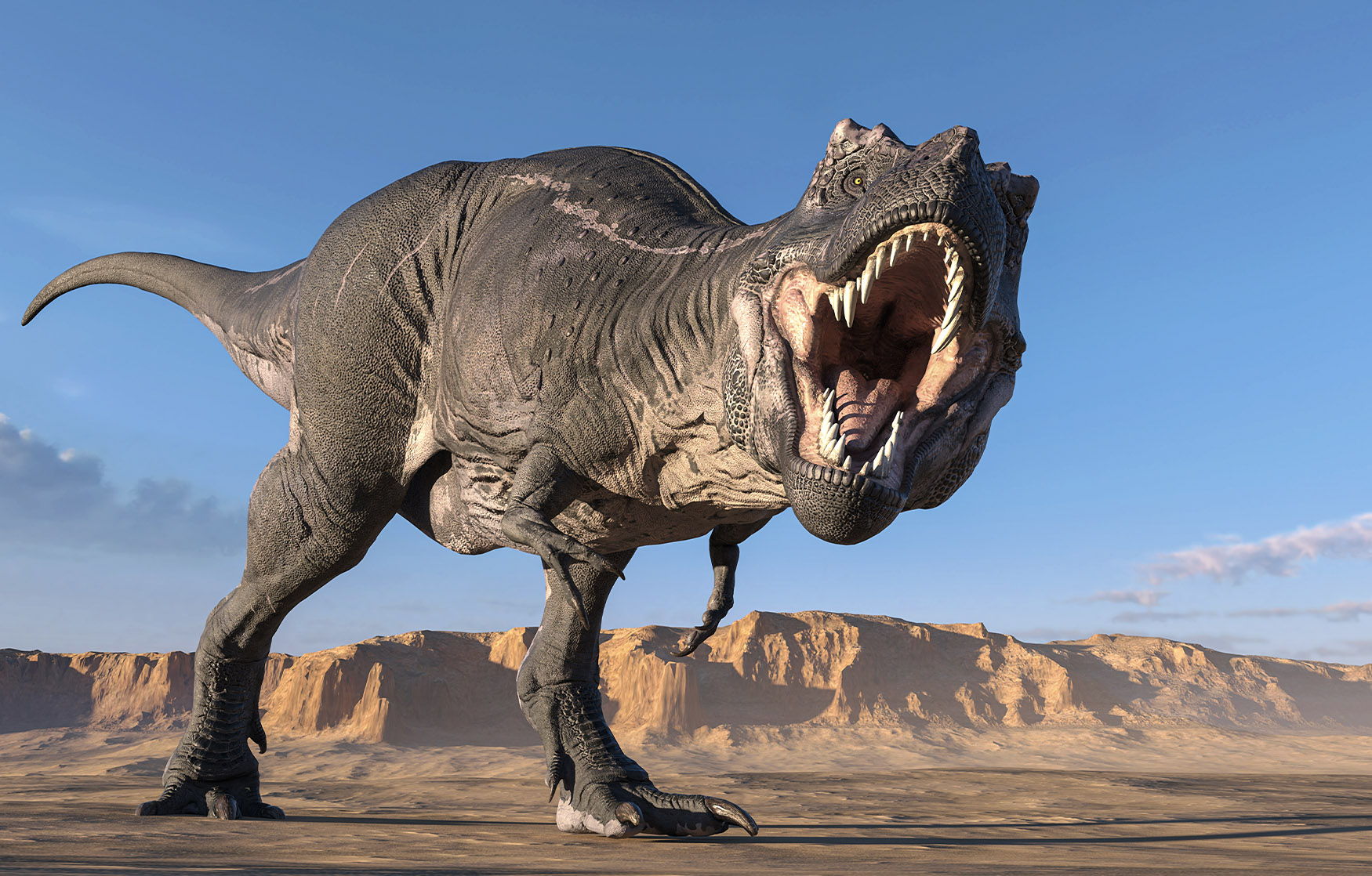 Scientists debunk bold theory of T. rex as 3 species