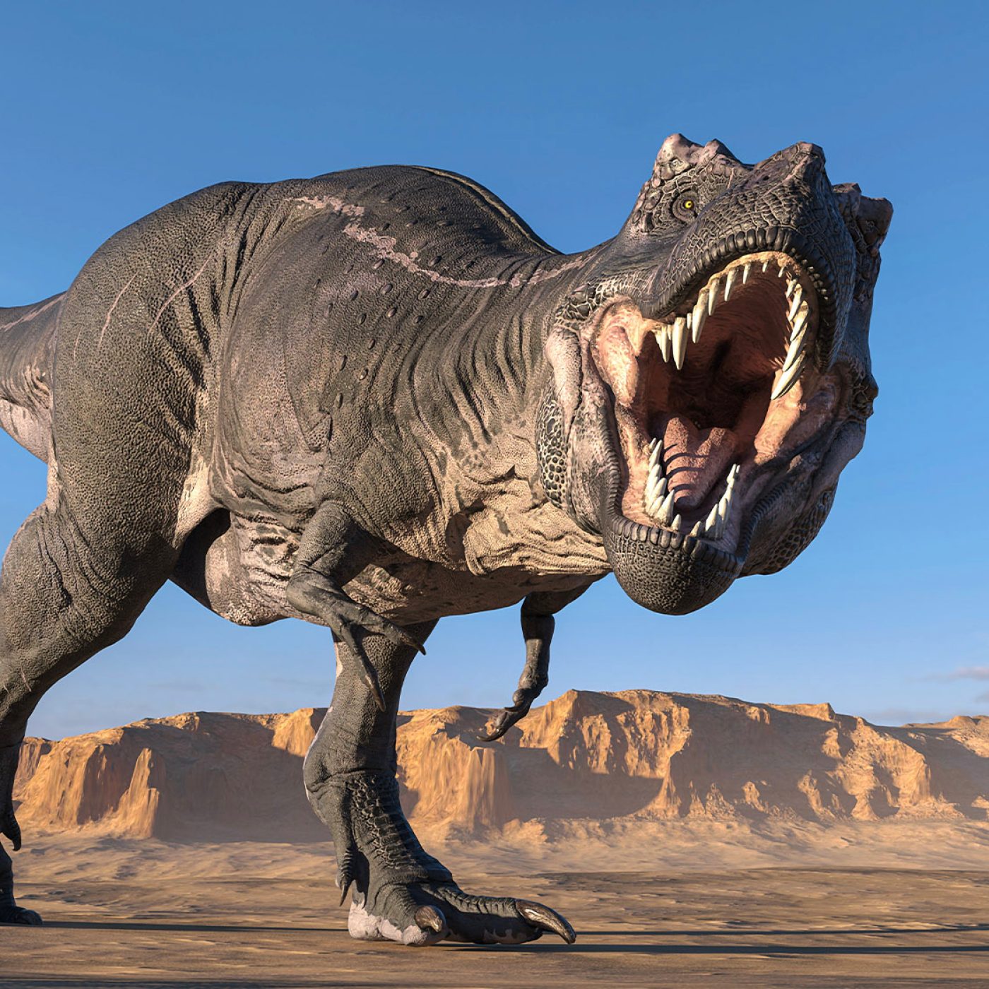 Fewer T. rex walked the Earth than previous estimated, new study