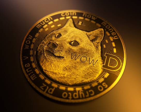 Dogecoin news