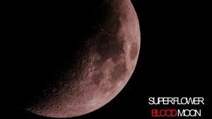 Super Flower Blood Moon Super Flower Blood Moon