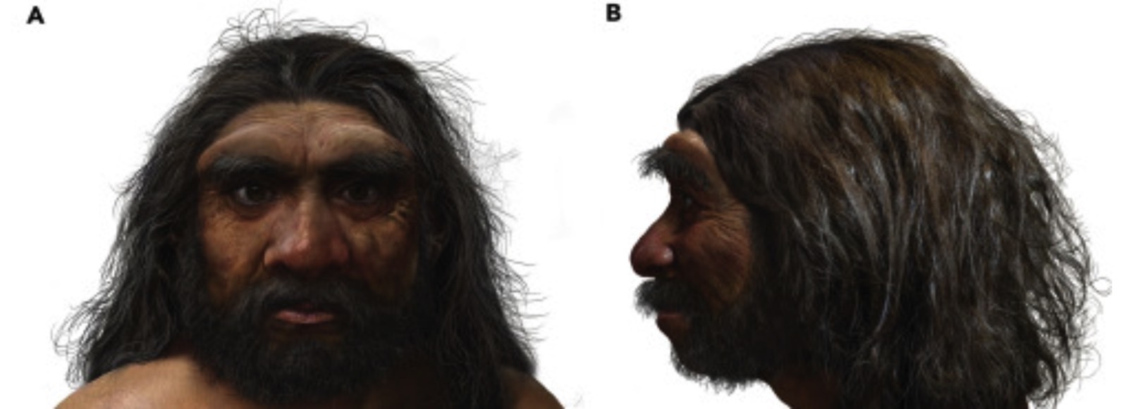 Los Científicos Han Descubierto La Cabeza De Un Enorme Dragón Humano ...