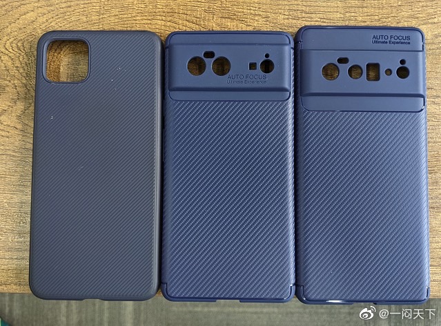 Pixel 6 Pro Case Leak