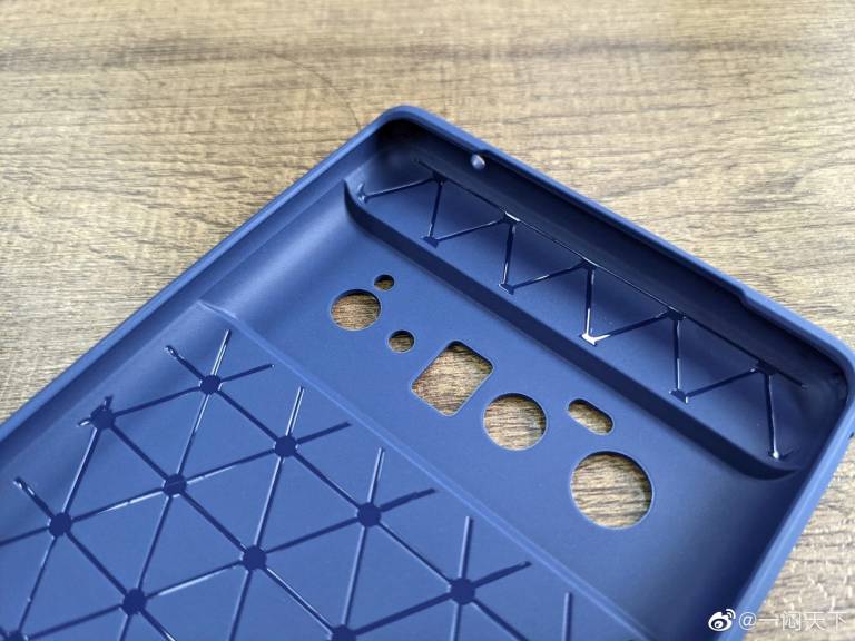 Pixel 6 Pro Case Leak