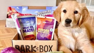 BarkBox monthly subscription