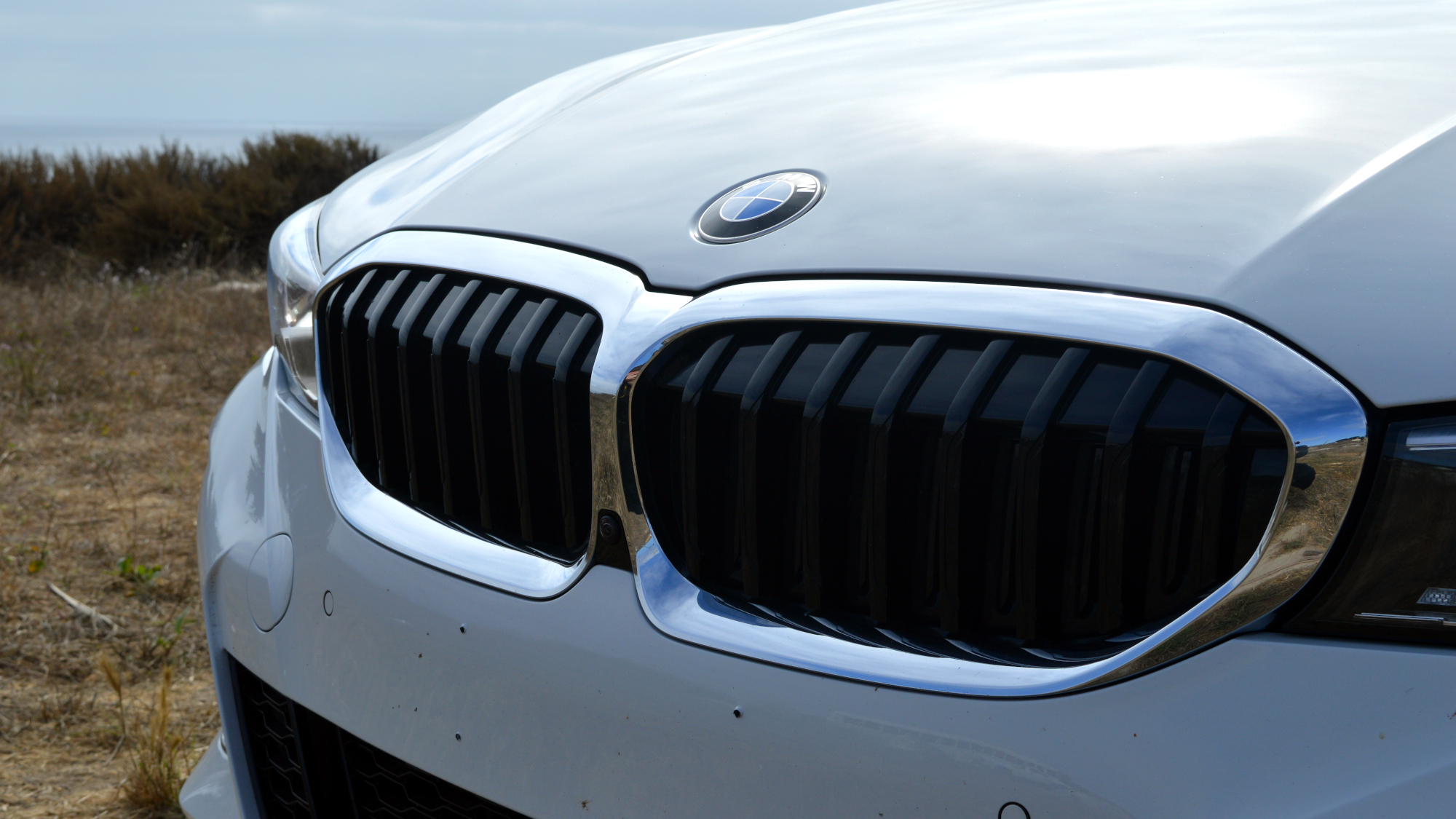 BMW 330e Grille