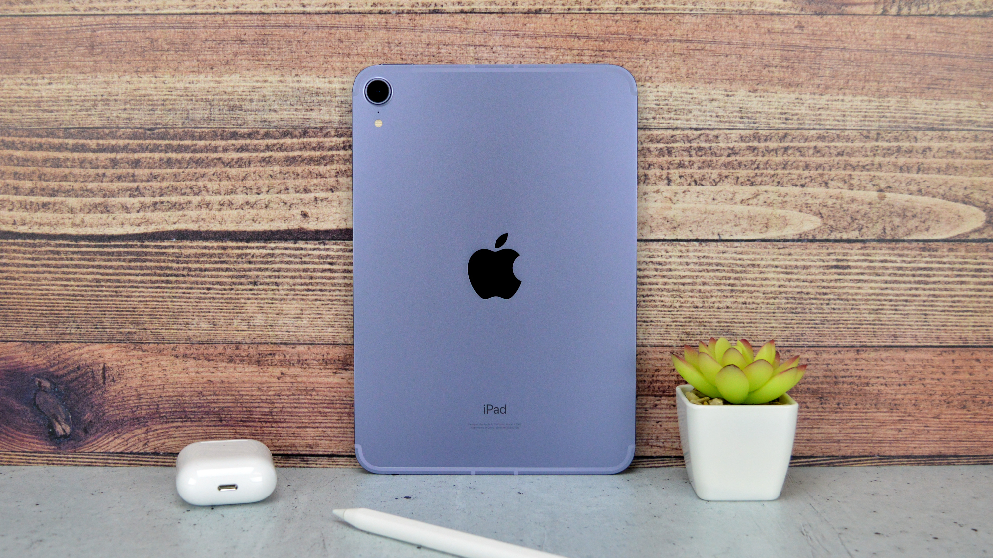 What is the store newest ipad mini