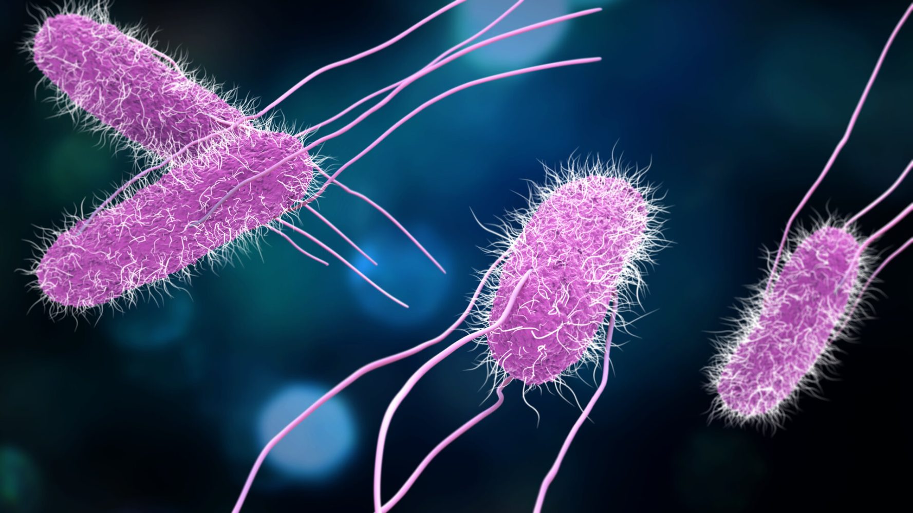 Researchers found a bacteria that eats forever chemicals and their toxic waste