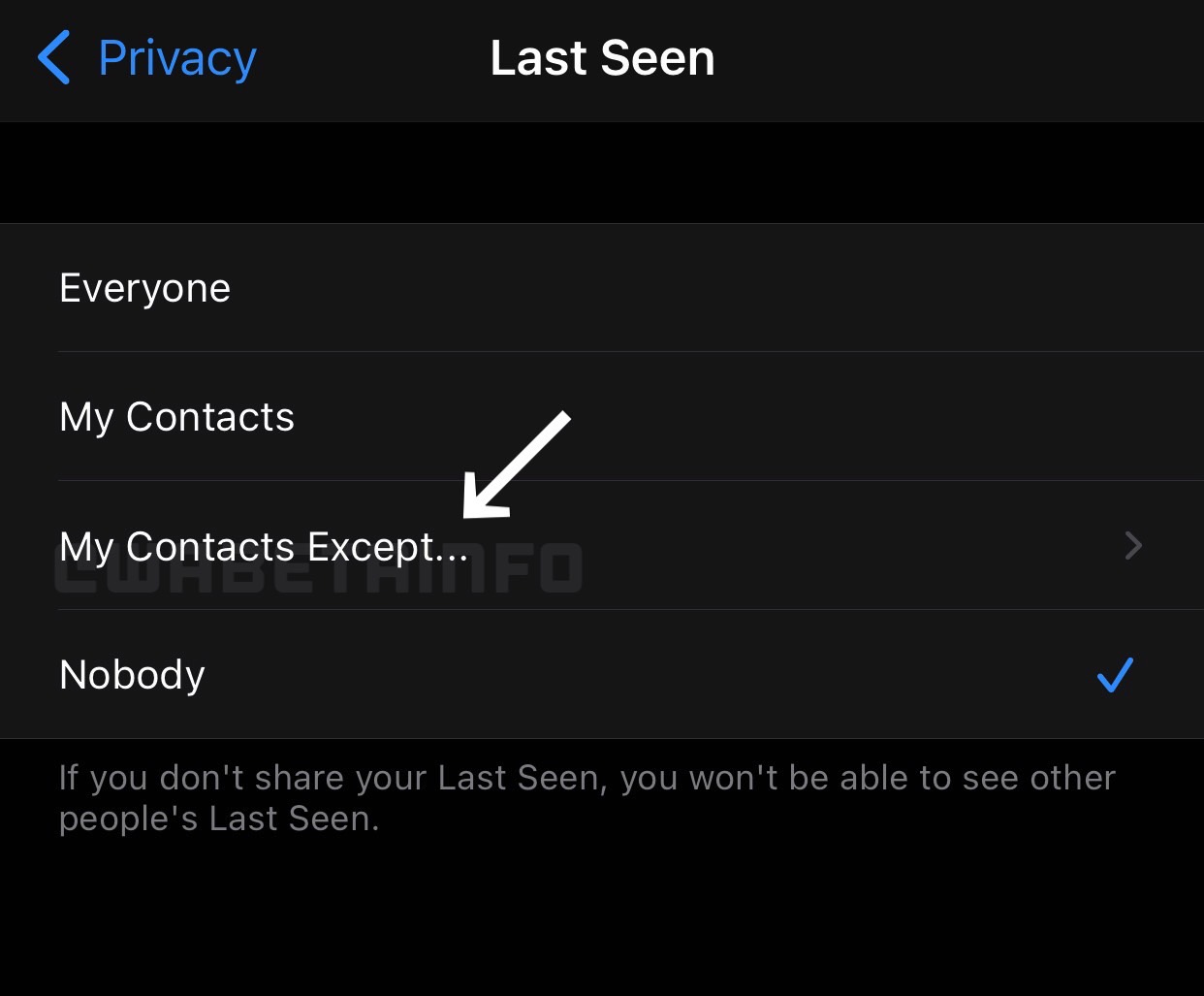 WhatsApp Privacy Last Seen