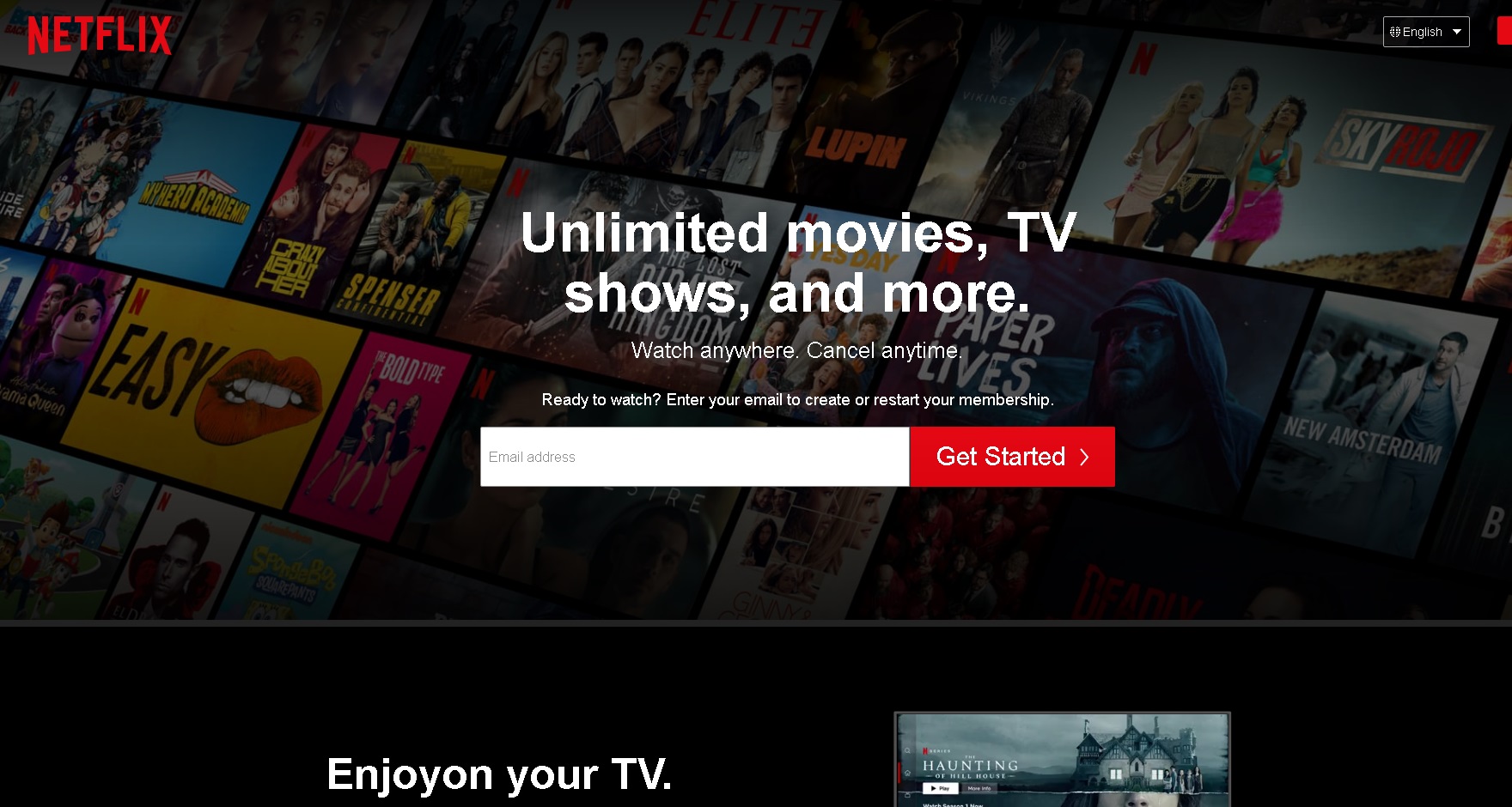 Netflix phishing scams sometimes involve fake signup websites